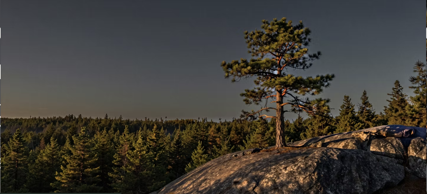 188-r166-screenshot-2026-10-22-at-92458 am-17926755584791.png